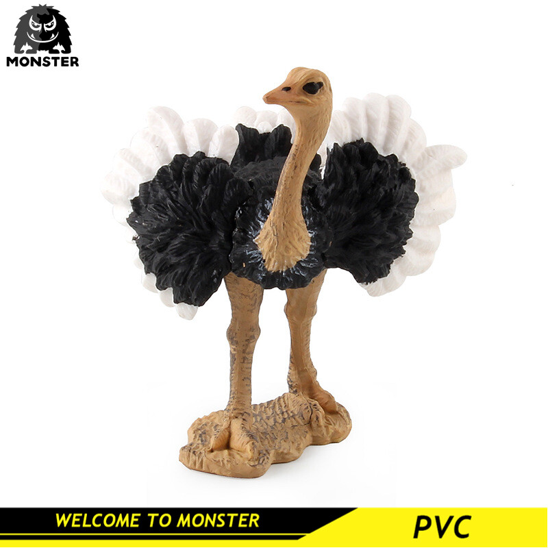 Children's Science and Education Cognitive Bird Model Simulation African Ostrich Solid Bird Farm Static Ornaments PVC Miniature Collection Toys Educational Kids Toy Toys for Boys Toys for Girls