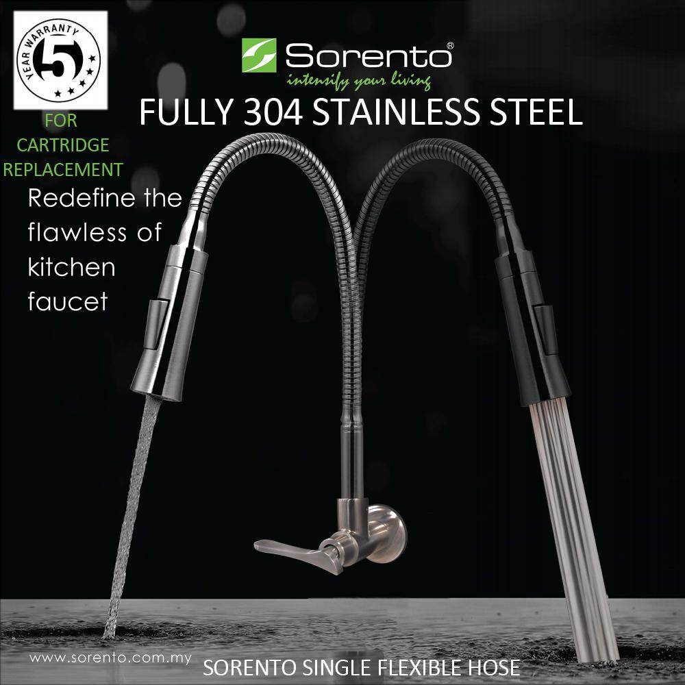 Sorento Fully 304 Stainless Steel Wall Mounted Single Flexible