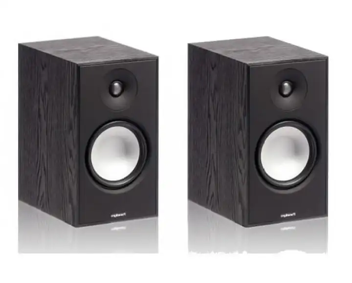 mini monitor speaker