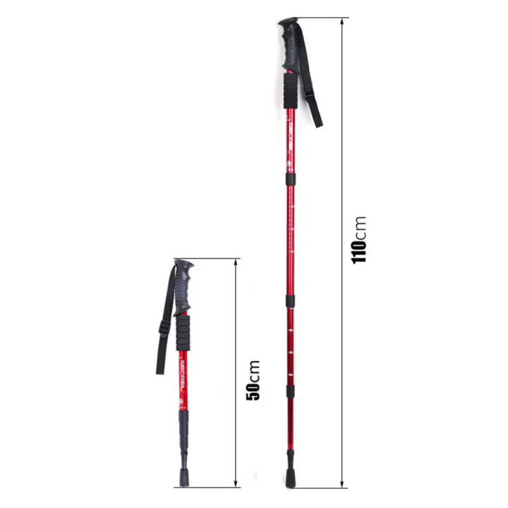 necasil walking stick
