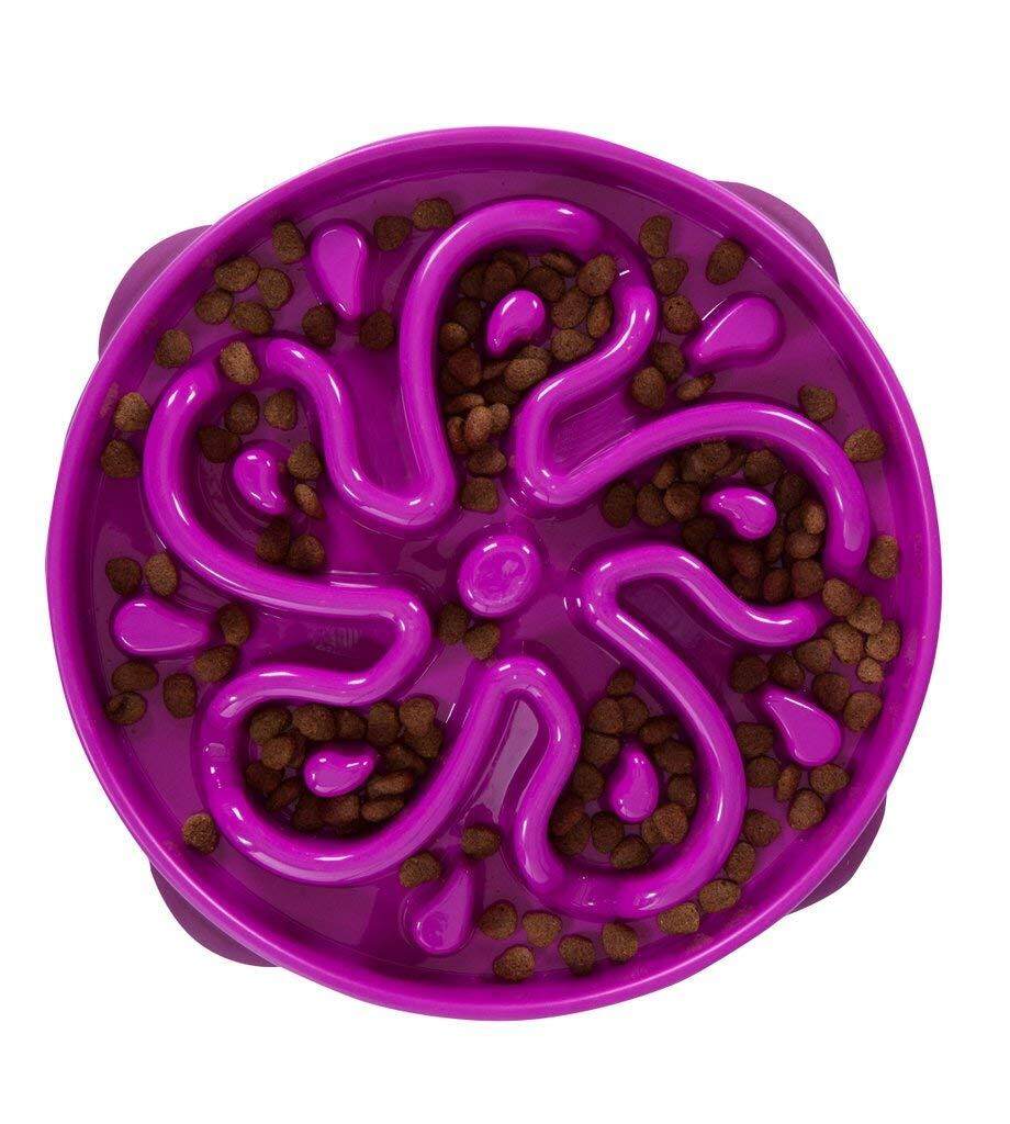 Fun Feeder Slow Feed Interactive Bloat Stop Dog Bowl L Lazada Ph