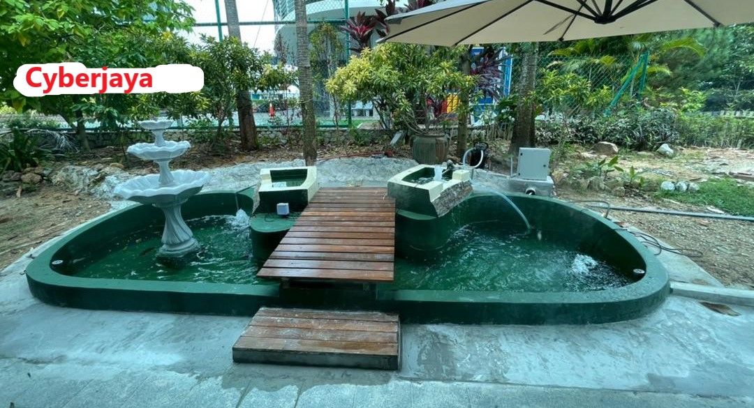 Beli Hiasan Kolam Ikan Pada Harga Terendah Lazada Com My
