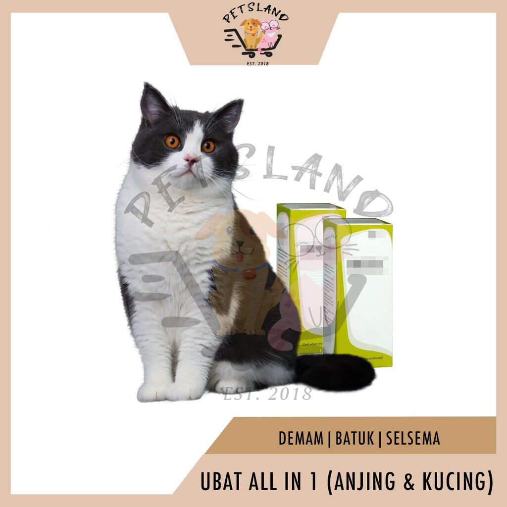 Beli ubat demam selsema kucing anjing Pada Harga Terendah  Lazada 