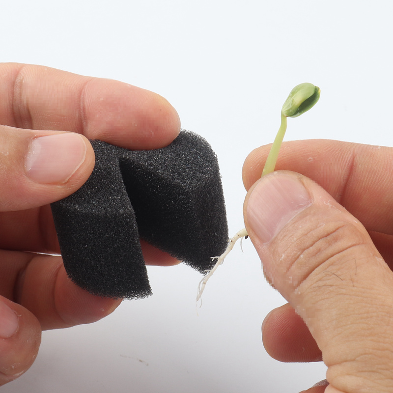 10 Miếng Bọt Biển Nảy Mầm Aquaponic Tròn Miếng Bọt Biển Nảy Mầm Thủy Canh Miếng Bọt Biển Tạo Rễ Hydroponik Netpot