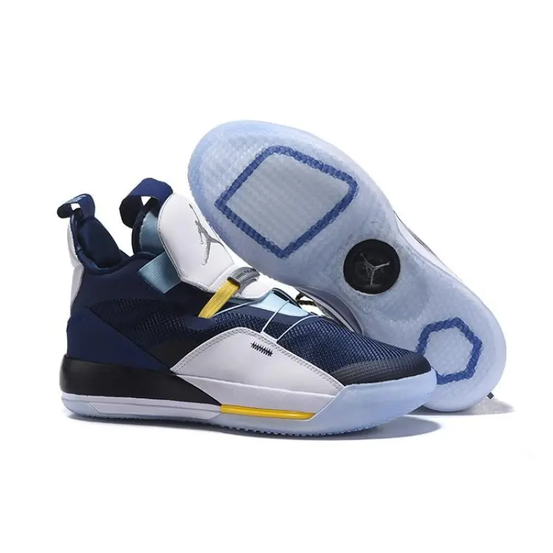 mj 33 shoes