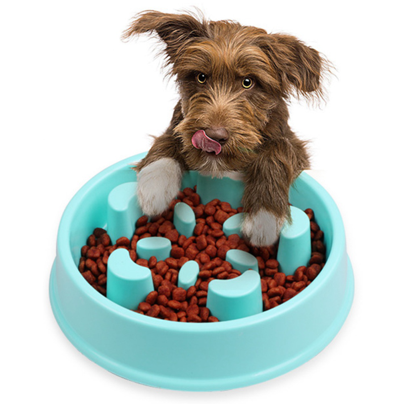 Crescent Pet Thức Ăn Chậm Bát Chống Nghẹt Thở Chó Bát Câu Đố Thú Cưng