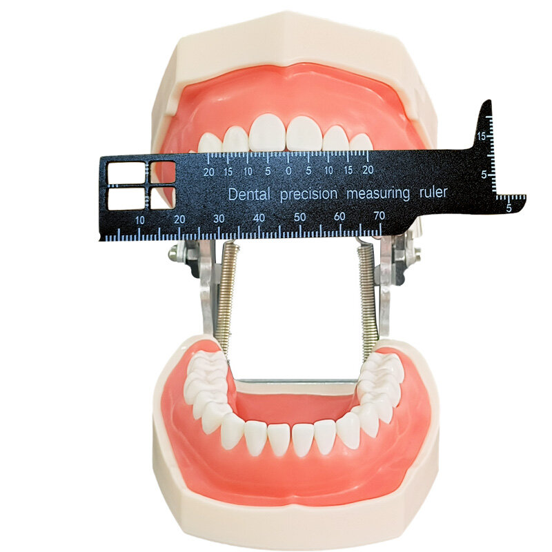 New Dental Photography Ruler Dental Precision Measuring Ruler Dental Tool For Photography