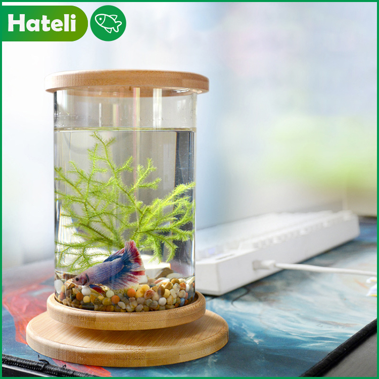 [HATELI] (Gift: Shell, Bottom Sand, Iron Tree, Bacteria Ball, Lid with Light)Aquarium Tank Fish Desk Top Ecological Bottle Random Styles Creative Office Tempered Glass Microview Cylinder