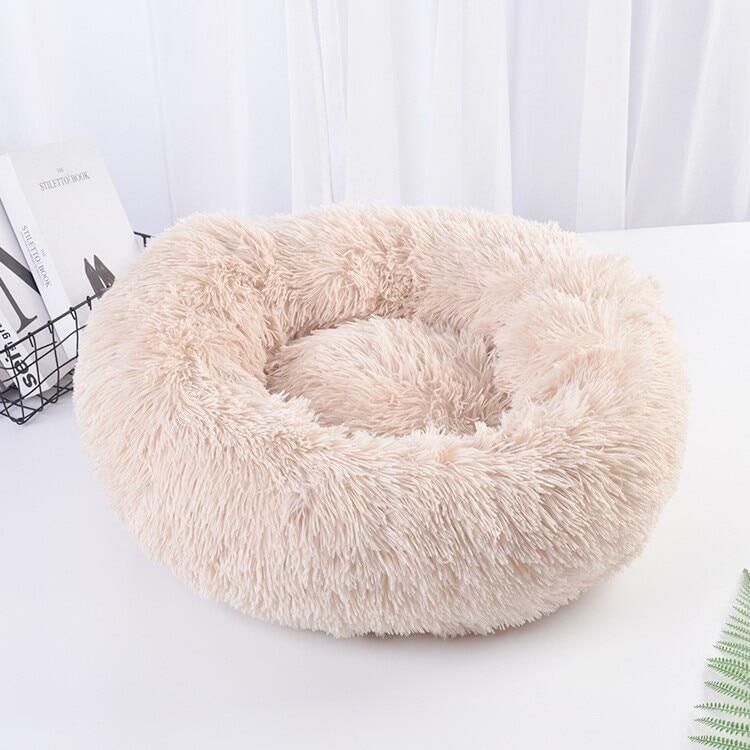 super cheap dog beds