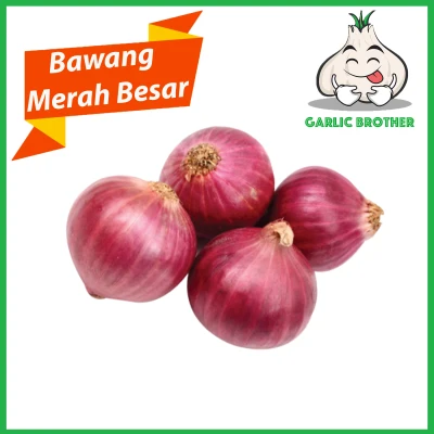 Bawang Merah Besar Red Onion 红大葱 500g [Sayur/Vegetables]