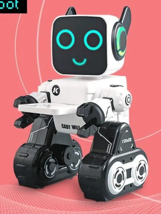 intelligent remote control robot