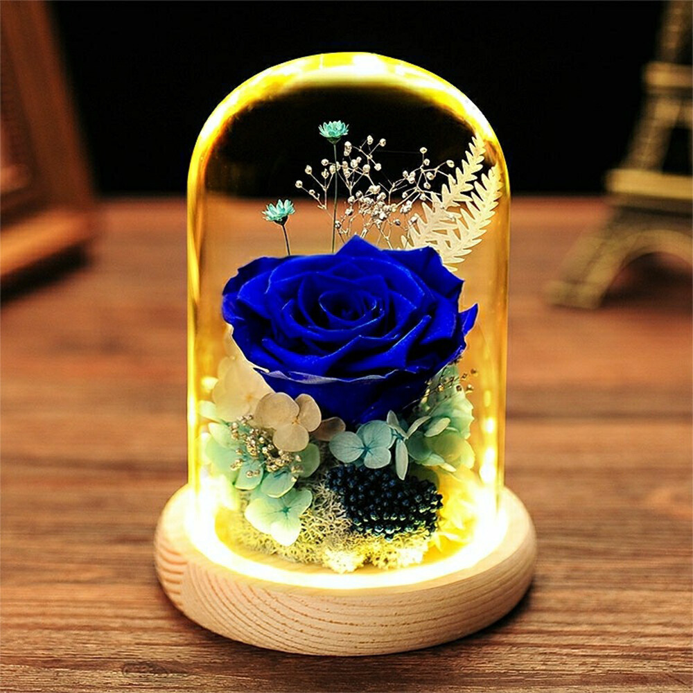 Preserved Flower Rose In Glass Dome With Lights Eternal Rose Gift Gift For Holiday Birthday