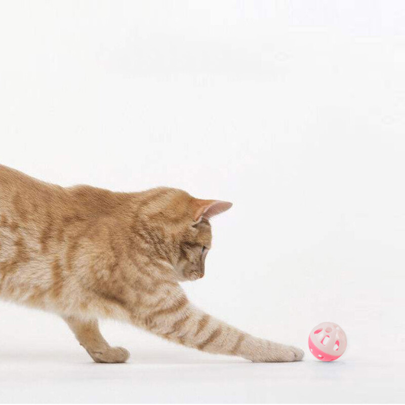 Rattle Scratch High Quality Funny Interactive Playing Chew Pet Cat Supply Cats Ball With Bell Ring