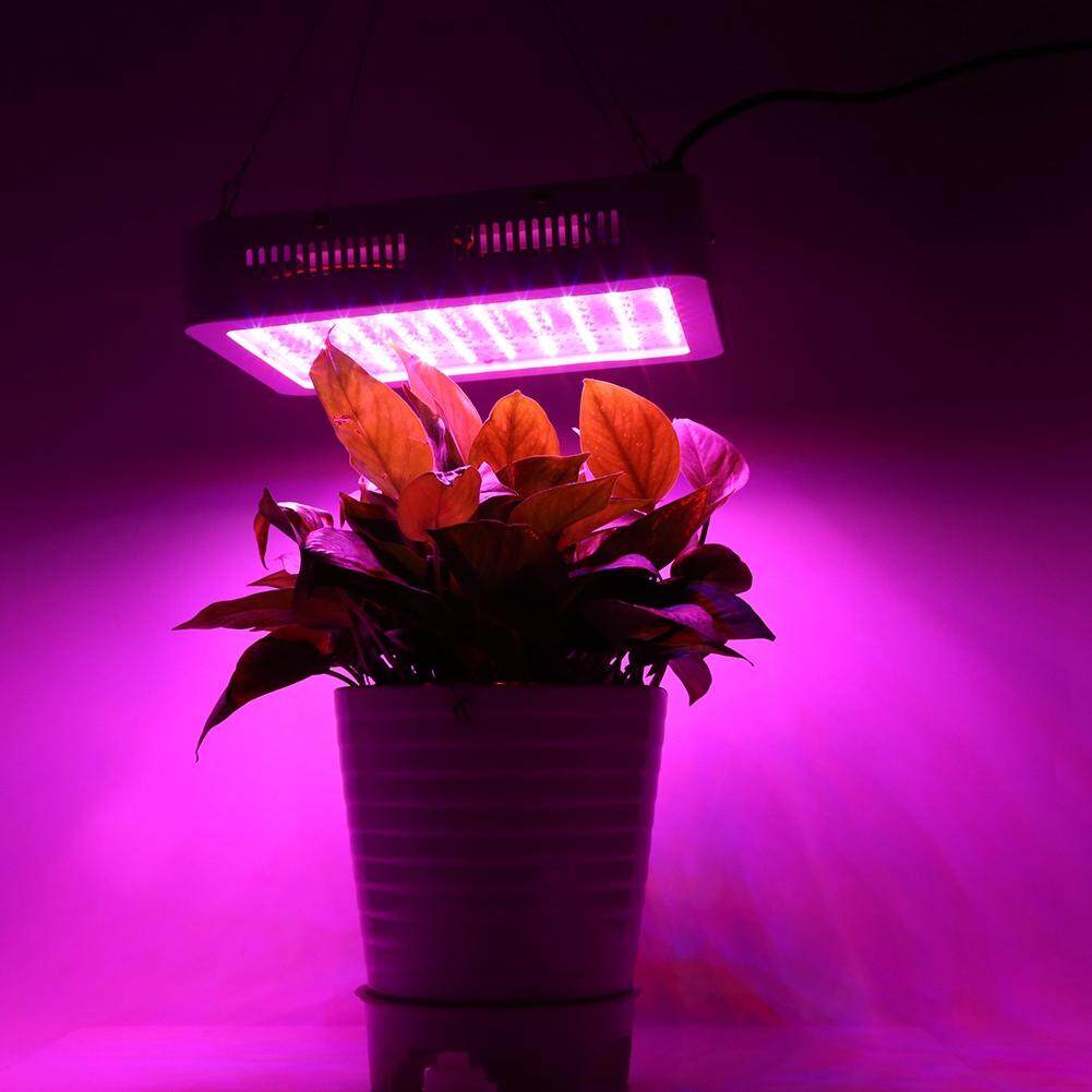 Sweetbaby 1000 W Suốt Thuỷ Cung LED Phát Triển Ánh Sáng cho Y Tế Hoa Veg & Nở Hoa Quả Phích Cắm CHÂU ÂU