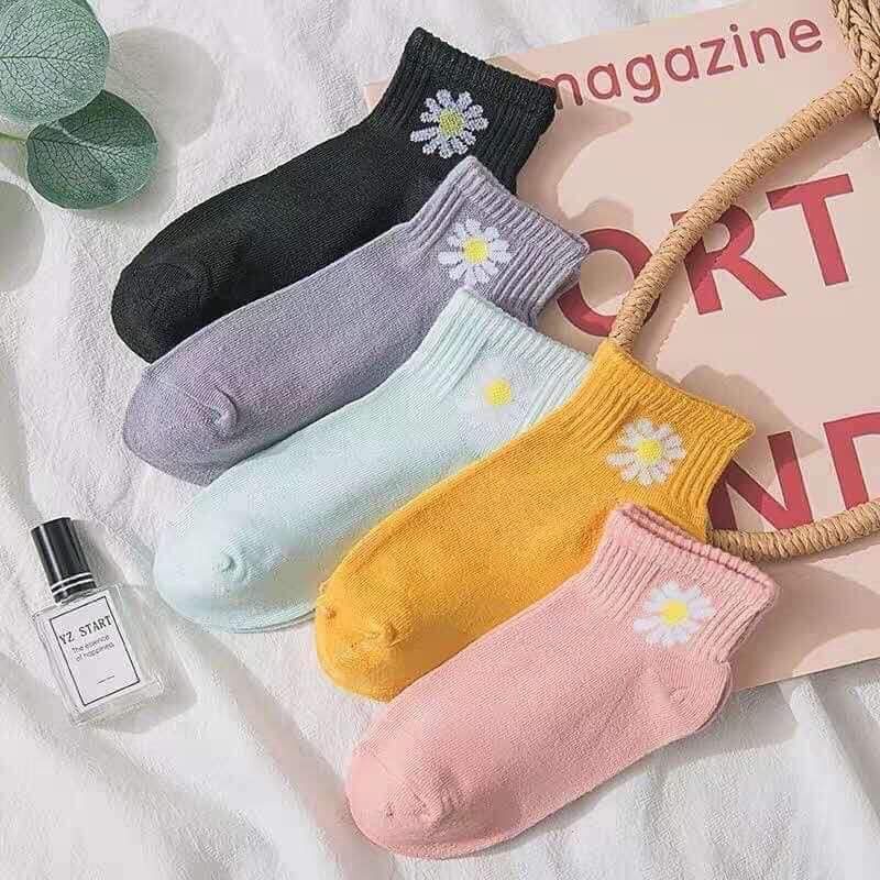 Combo 10 đôi tất hoa cúc hottrend