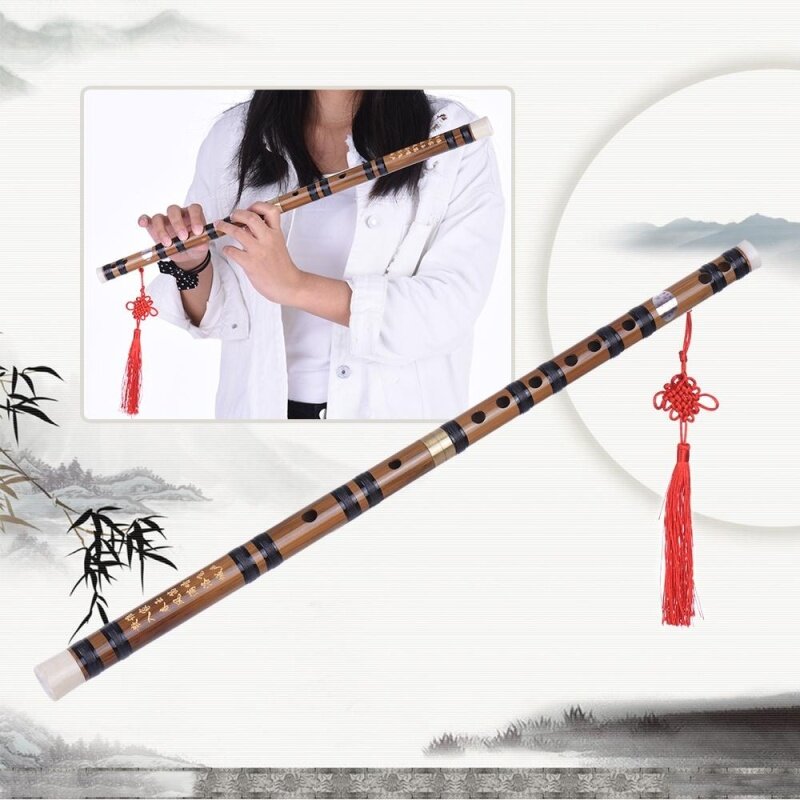 Pluggable Handmade Bitter Bamboo Flute/Dizi Traditional Chinese Musical Woodwind Instrument in E Key for Beginner Study Level Outdoorfree Malaysia