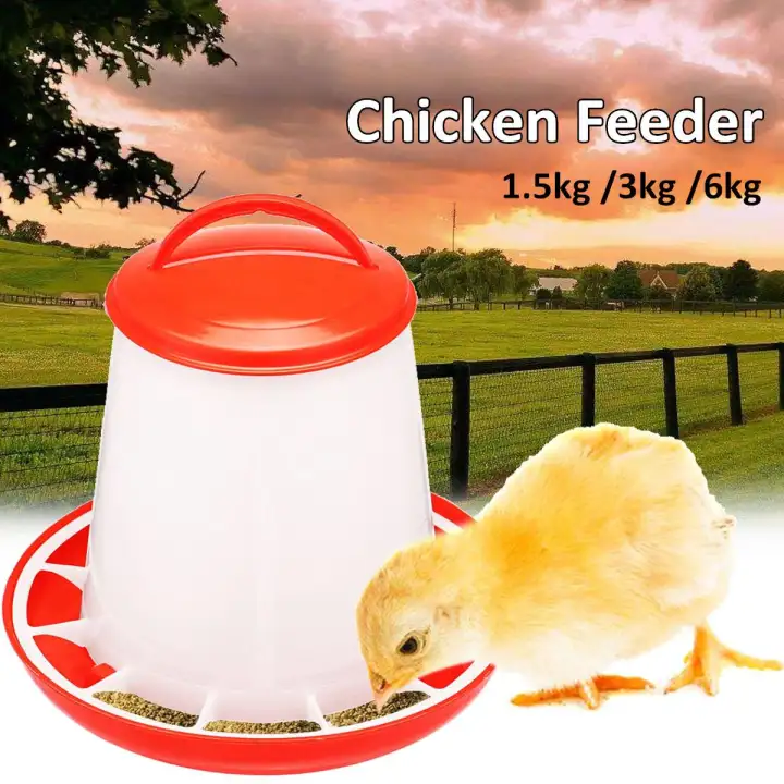 Chicken Feeder Drinker Poultry Feed Water Waterer Automatic Drink