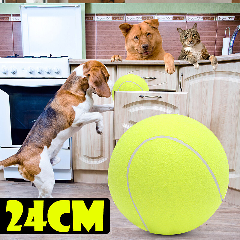 big tennis ball for dogs