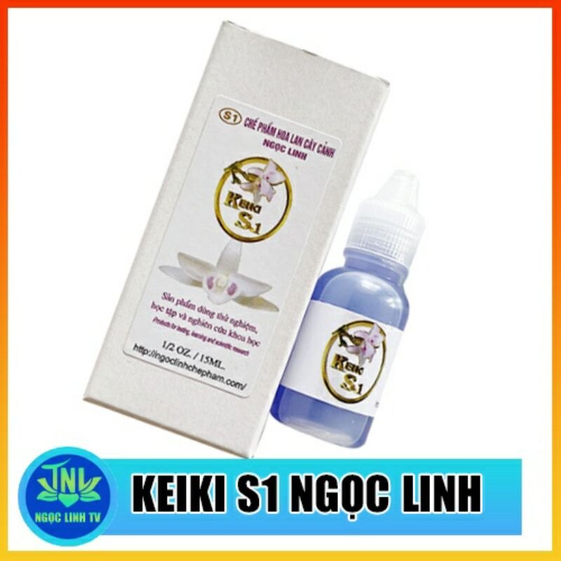 Kích ki hoa lan ngọc linh kích ki s1