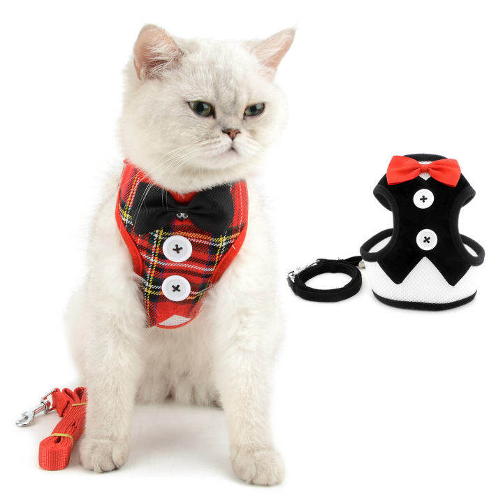 cat harness lazada