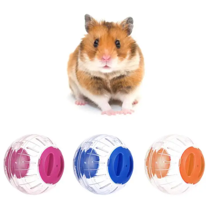 toy pet hamster