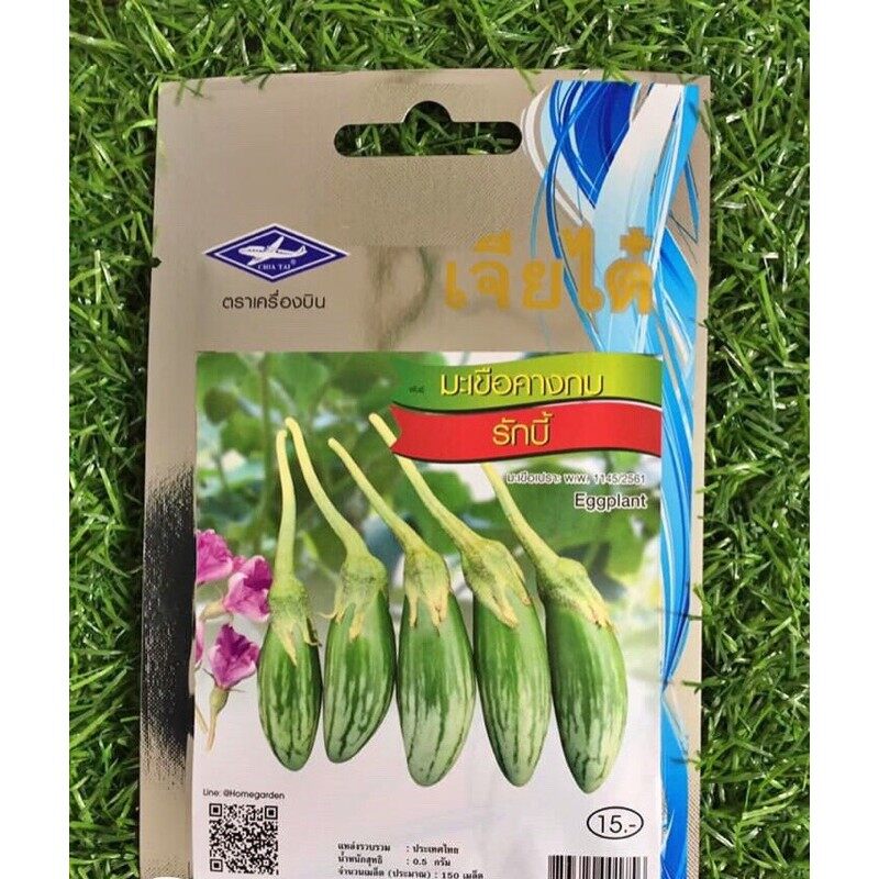 Hạt giống cà dừa abong