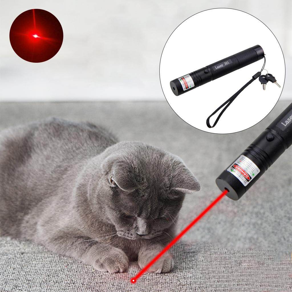 Baoblaze Bút Chỉ Laser Cầm Tay Đèn Chiếu Tia Nhìn Thấy Được Sạc USB Đèn Pin Lazer