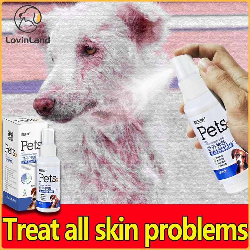 Treatment for 2024 itchy puppy skin