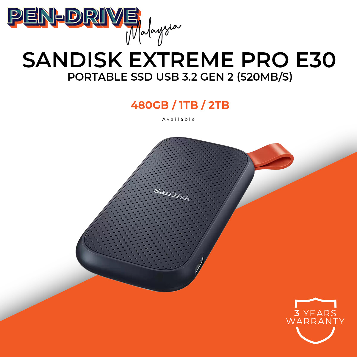 SanDisk ポータブルSSD E30 1TB SanDisk 1TB Portable SSD (E30, 520MB/s Read Speeds) - Drives