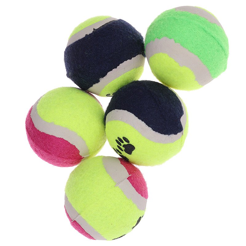 fetch dog supplies