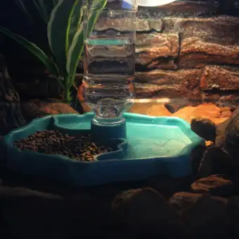 Reptiles Feeder 2 In 1 Automatic Water Food Feeding Plate Water