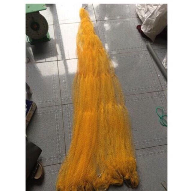 🐋 Chài dù bắt tép cá thái lan 2.5kg bung 5m 🐋