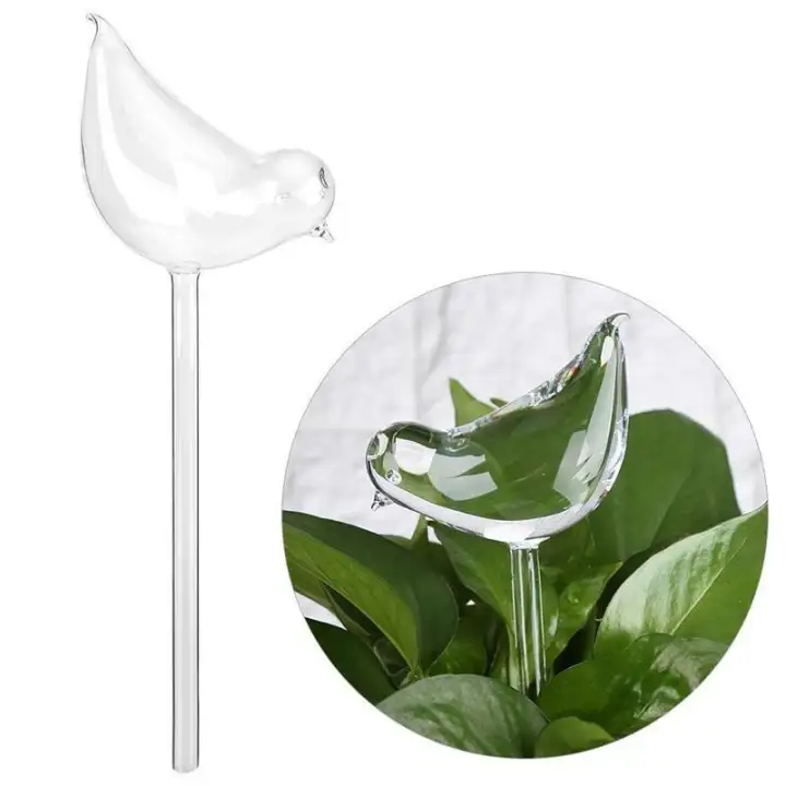 Glass Plant Flowers Water Feeder Self Watering Bird Swan Plant