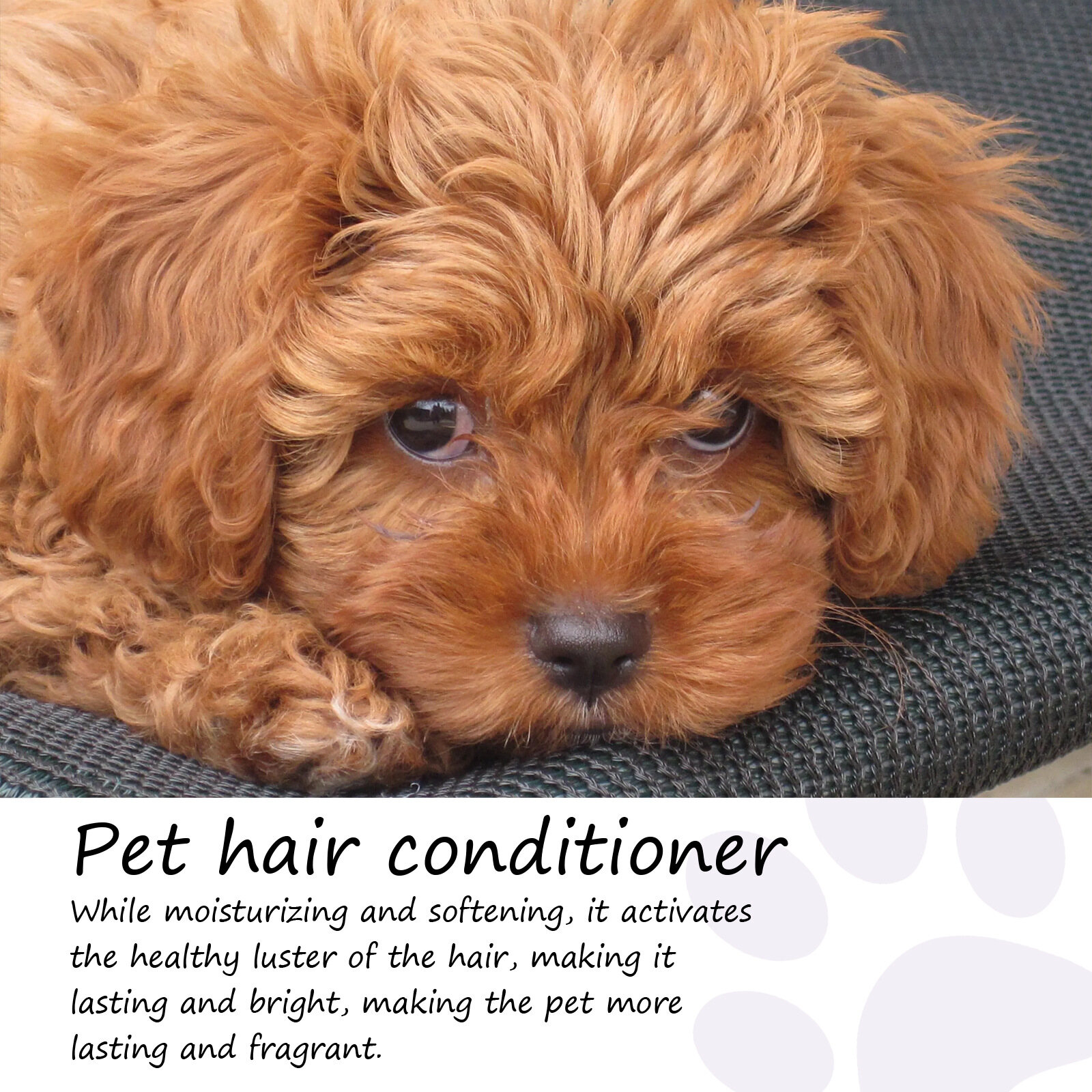 Yegbong Effective Pet Solid Hair Guard Safe Solid Paste Pet Degreasing Ointment Pliable Pet Oil Remover Black Cream For Cats And Dogs Pet Oil Remover Safe Pliable Durable Effective Black Cream For Cats And Dogs Pet Solid Hair Guard Convenient Solid Paste