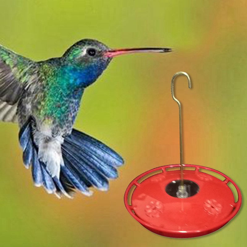 Bình Nước Hoa Hummingbird