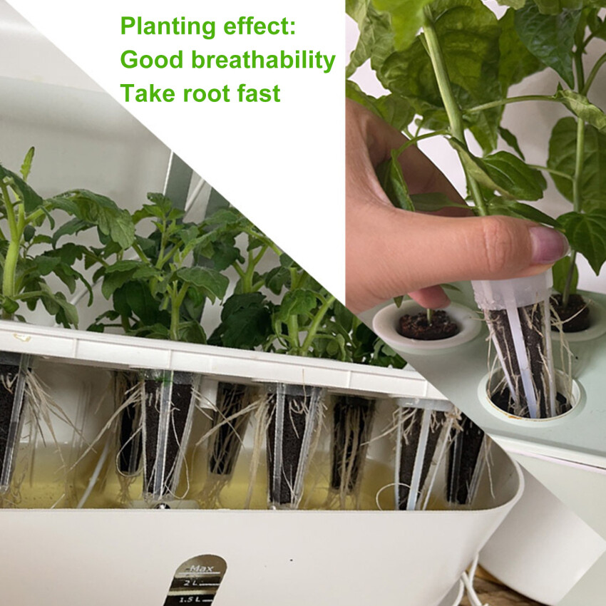 50Pcs Growing Sponge Seed Germination Pod Replacement Root Growing Sponge Kit Supplemental Pod Hydroponic Indoor Garden Planting