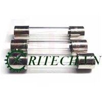 Combo 20 cầu chì ống 6*30 250v 5a
