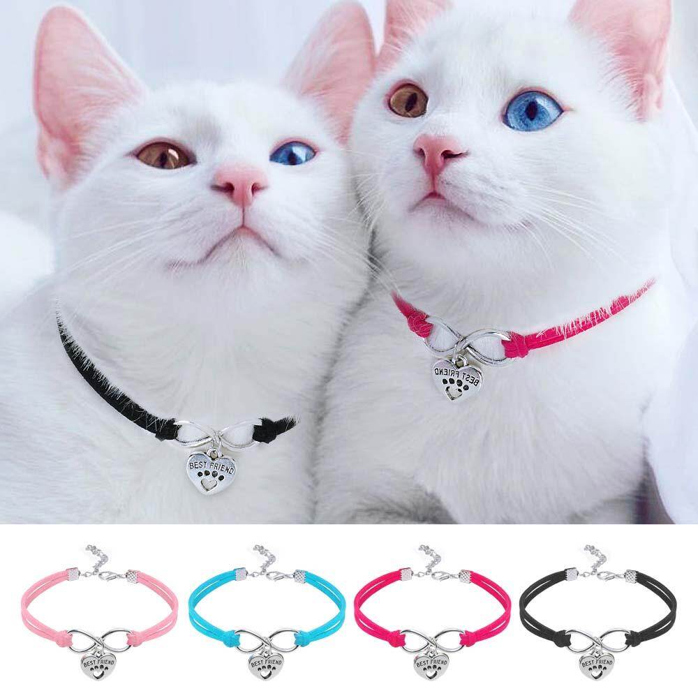 nice cat collars
