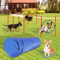 Dog agility accessories Clearance