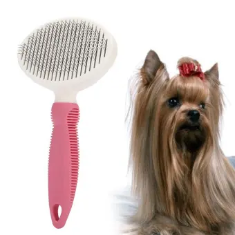 pet grooming and supplies