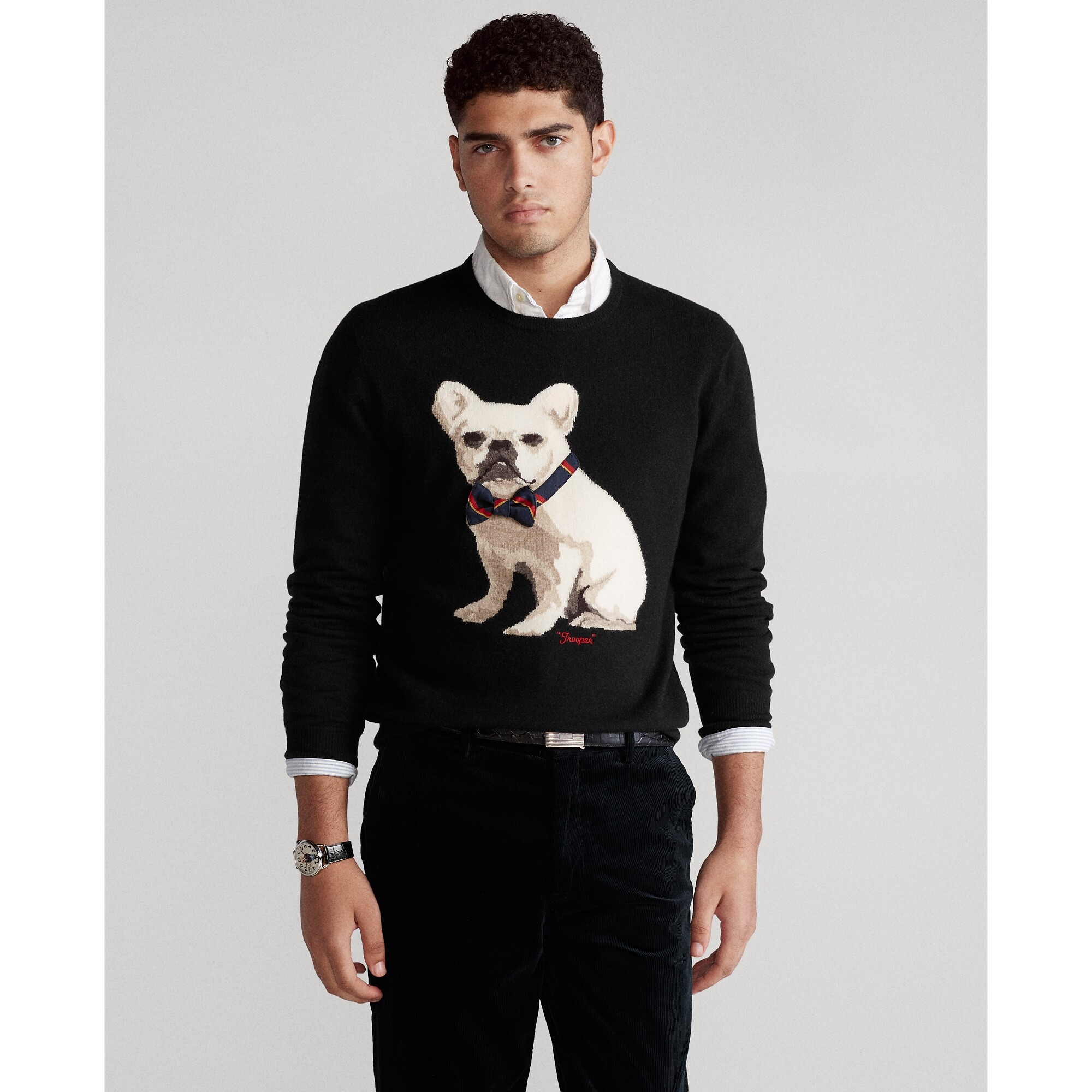 polo french bulldog