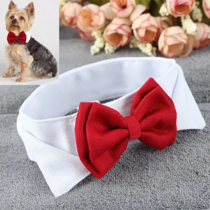 formal dog bow tie