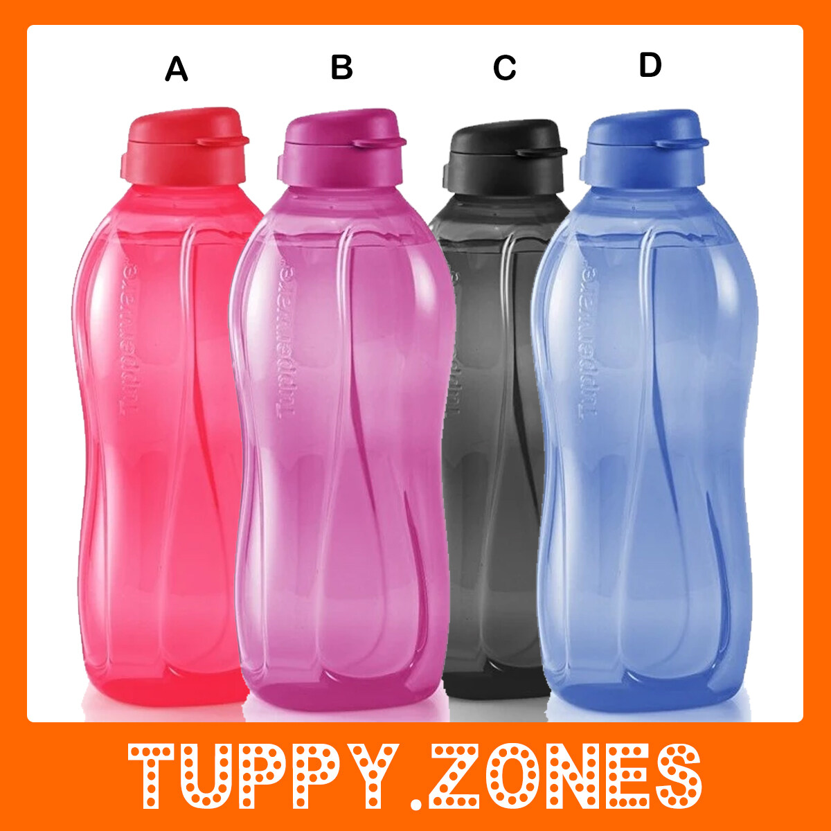 Tupperware Giant Eco Bottle (1) 2L | Lazada