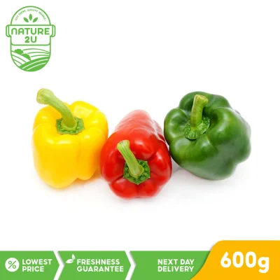 Fresh Vegetables - Capsicum / Bell Peppers / Lada Besar Merah Kuning Hijau (Mix Colours) - 3pcs