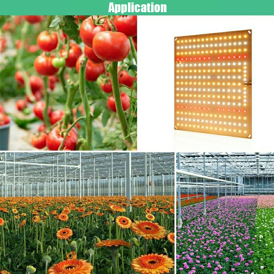 1000W Grow Light Led Full Spectrum Lamp Led Plant Light Bulb ...