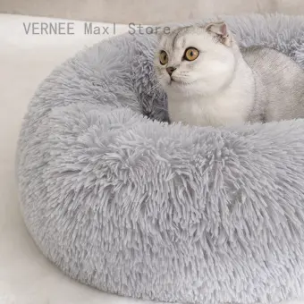 cat bed lazada