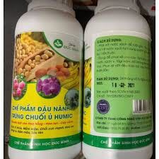 Chế phẩm đậu nành ủ trứng chuối humic chai 500ml