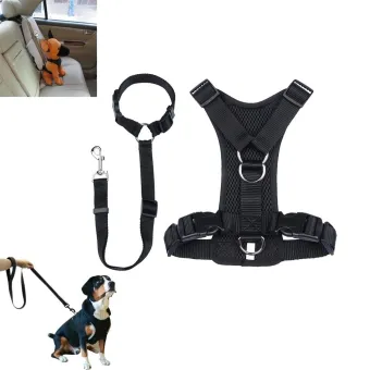seat belt dog collar