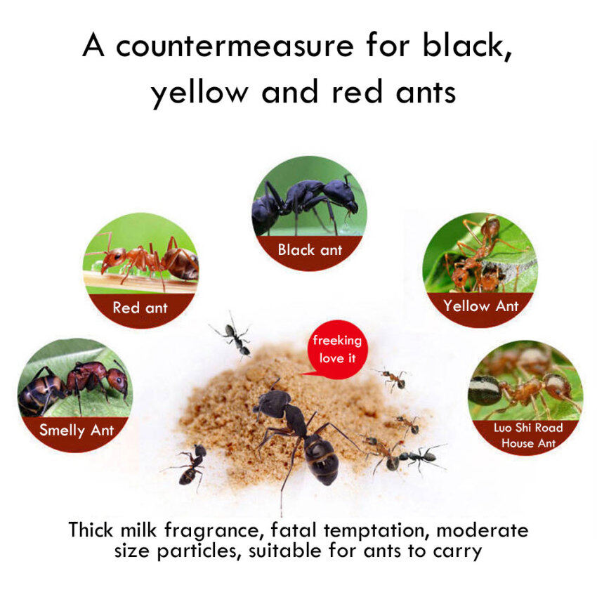 High-Efficiency Ant-Killing Powder For Indoor And Outdoor Use Simple And Practical