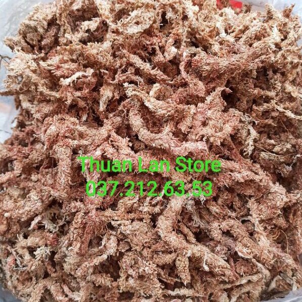 Gói 100g rêu sâu chile cao cấp giữ ẩm tốt